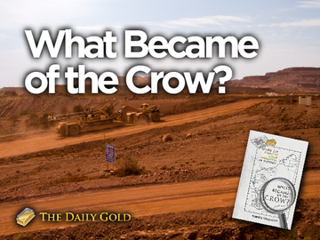 What Became of the Crow? (A Book Review)