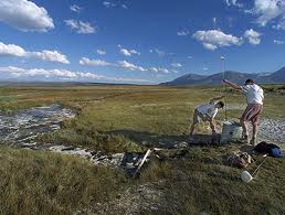 The Upside Potential in Junior Gold Stocks