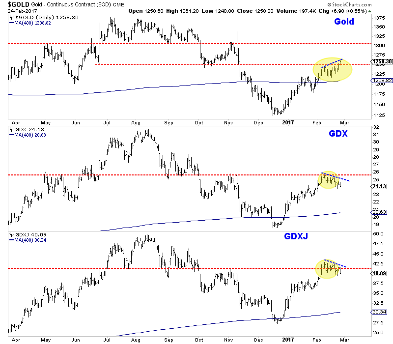 Feb242017minersngold